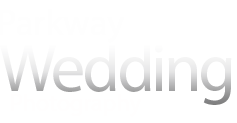 top logo